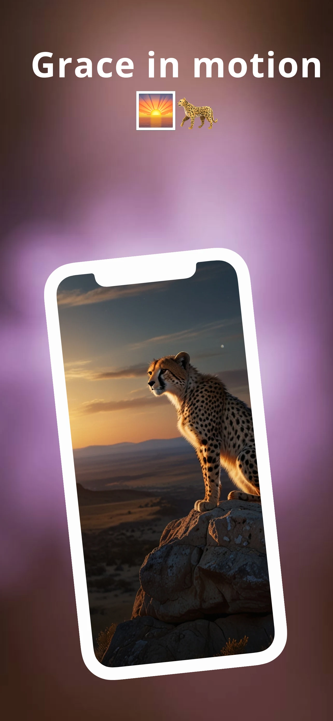 Cheetah Wallpapers HD screenshot